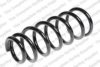 ROC CS7389 Coil Spring